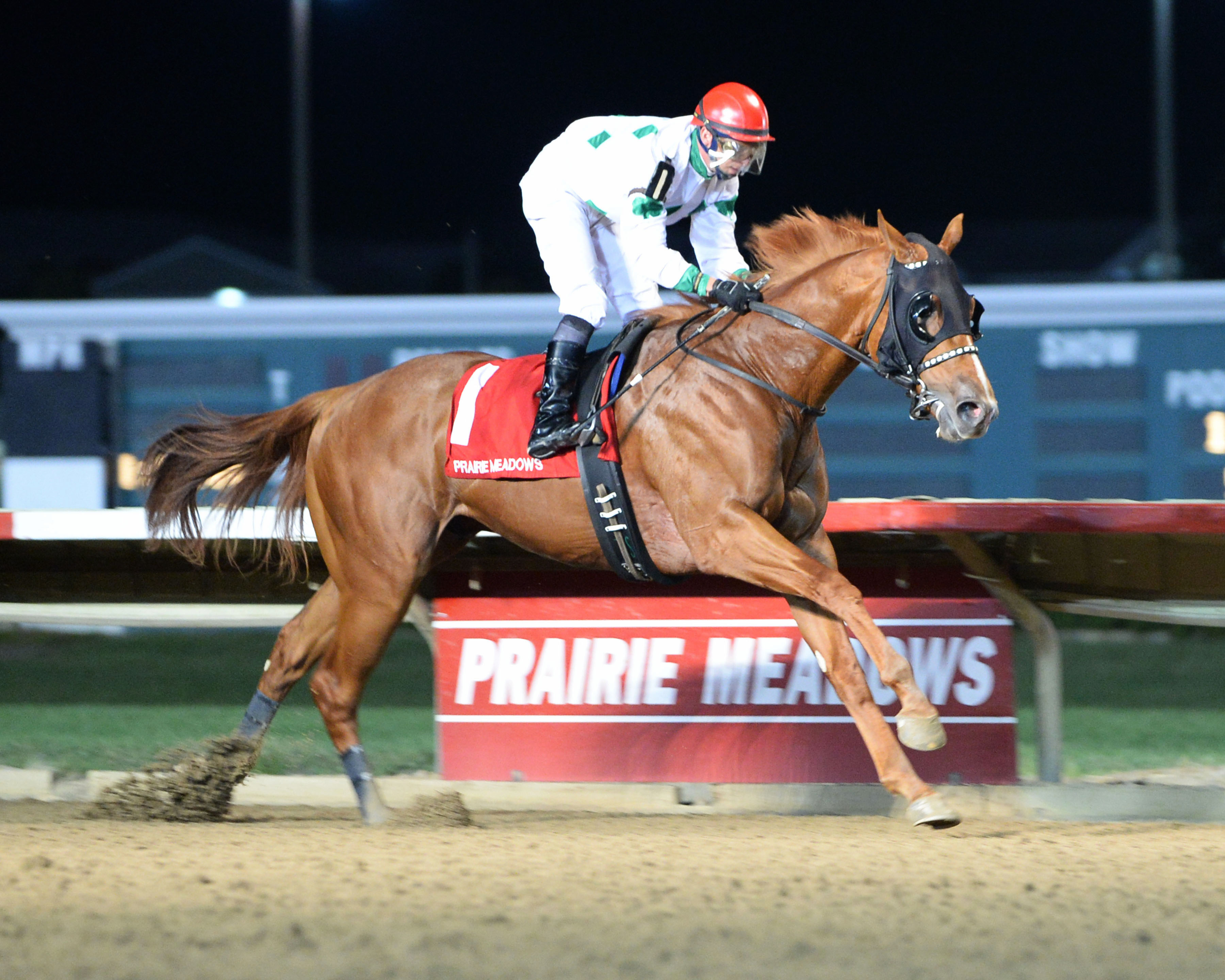 Pinnacle Peak wins the Juvenile Mile Stakes