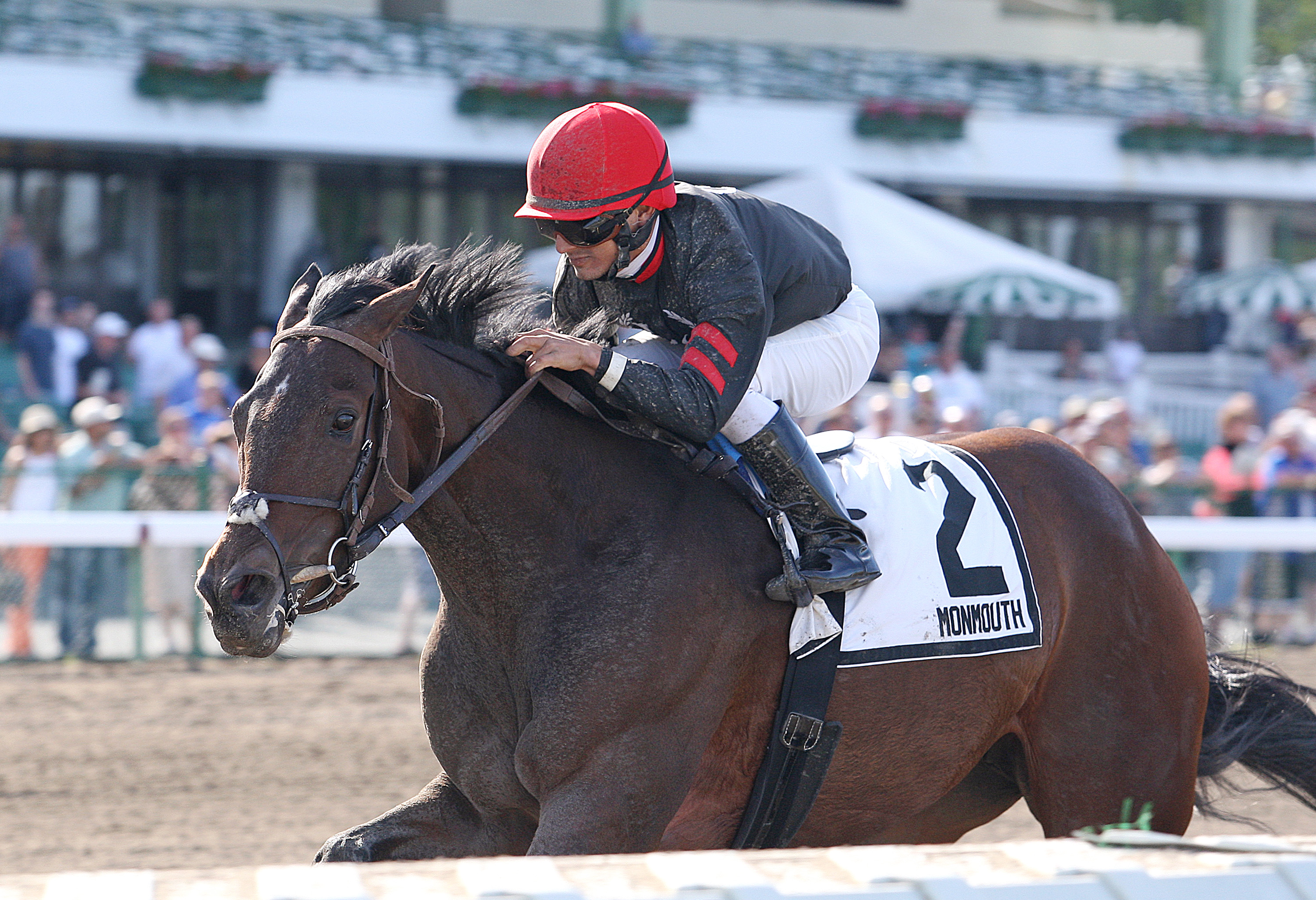 Pinot Grigio wins 2014 Open Mind