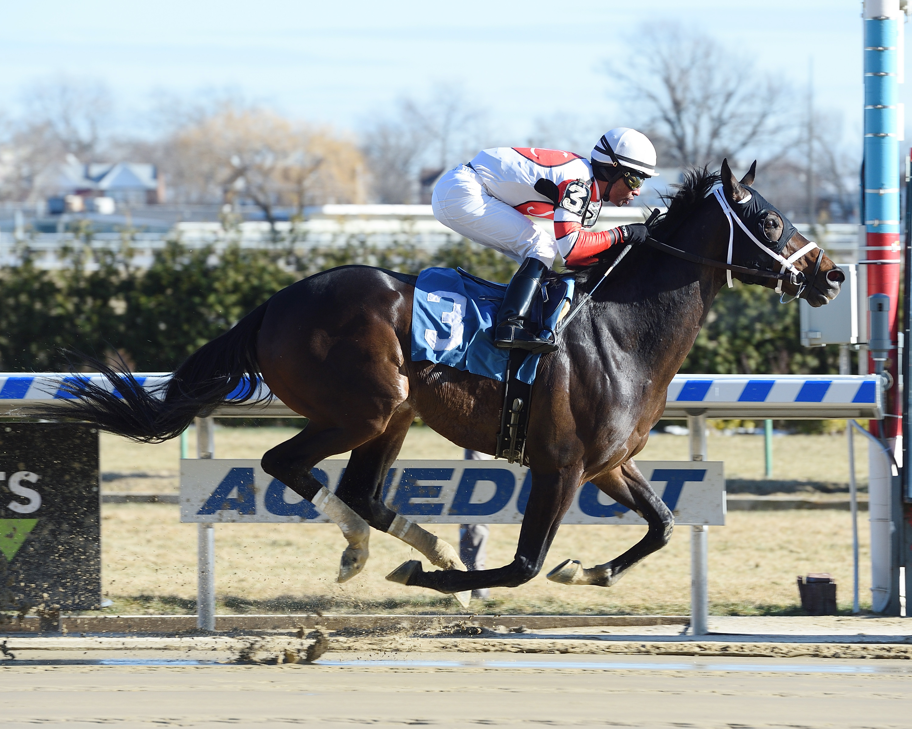 Pioneer Spirit wins a Jan. 13 allowance race
