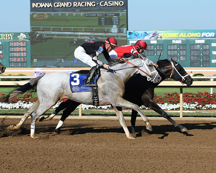 Silver Dust finishes second in the Michael G. Schaefer Memorial Stakes at Indiana Grand