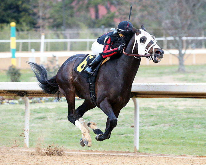 Pioneer Spirit wins the 2020 Fifth Season Stakes at Oaklawn Park