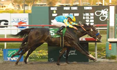 Pioneerof the Nile