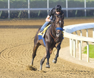 Pioneerof the Nile
