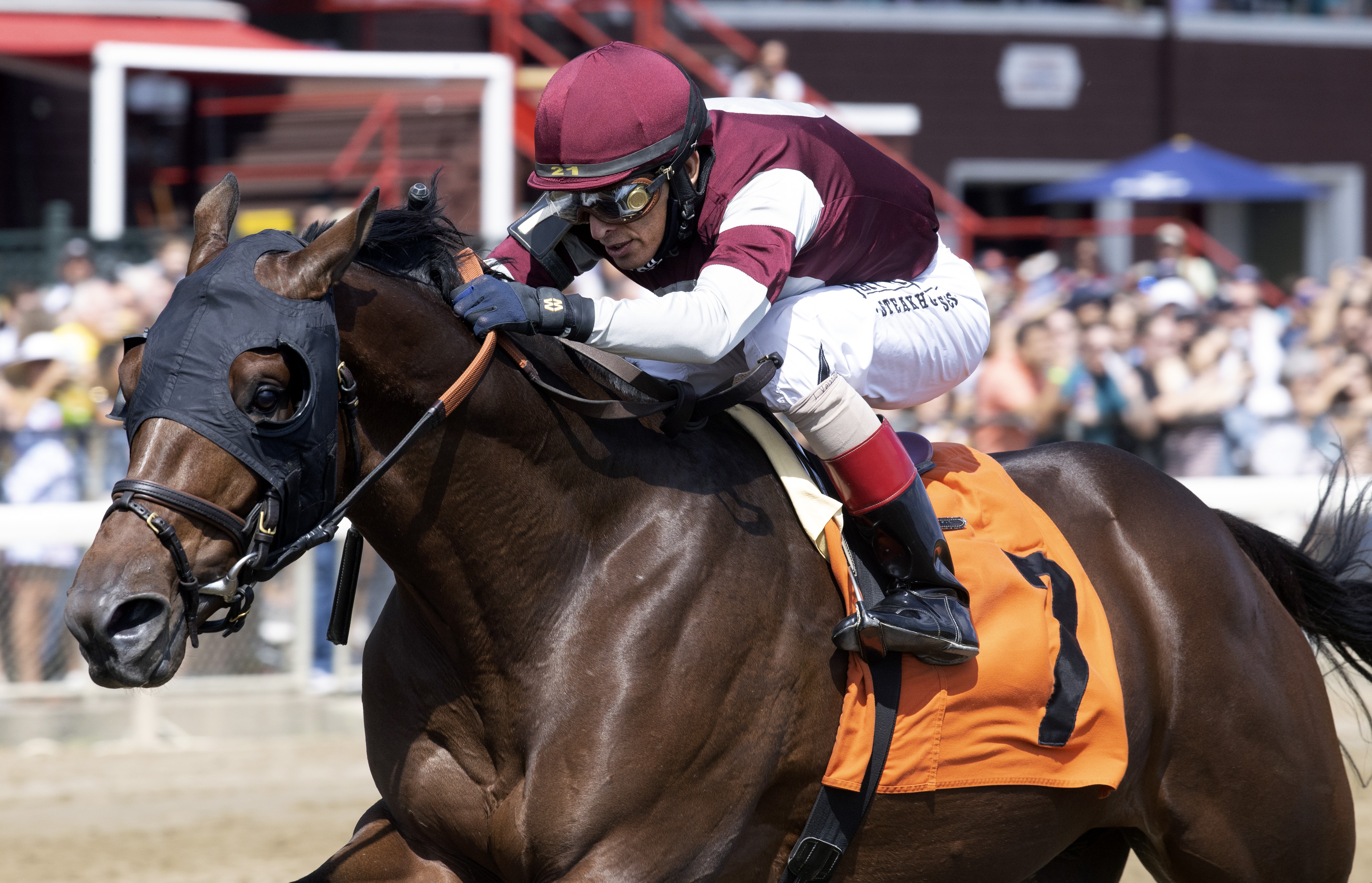 Pipeline ganando en Saratoga con John Velázquez