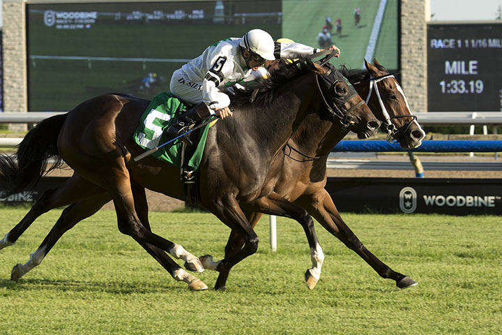 Piper's Legacy (inside) wins a July 31 allowance at Woodbine Racetrack