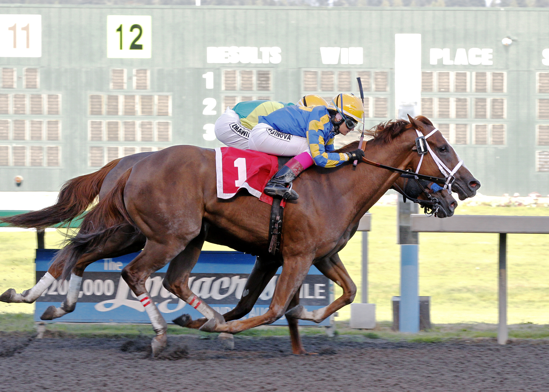 Pippa Bou Peep wins the 2014 Barbara Shinpoch Stakes
