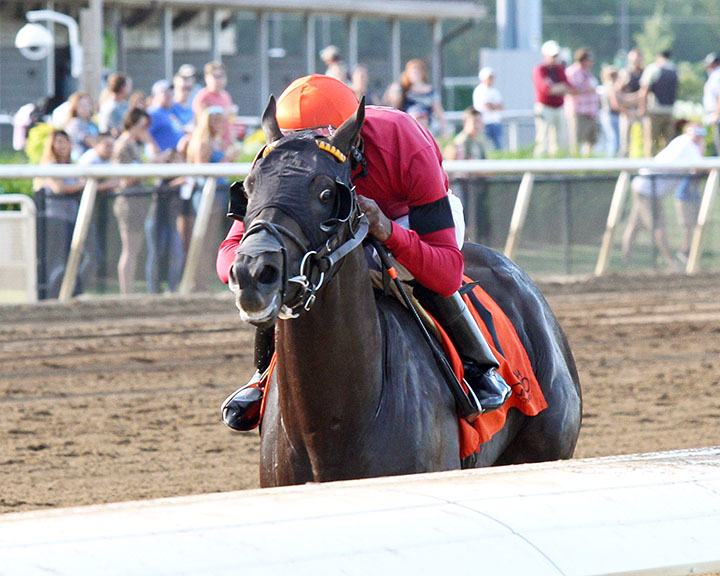 Pirate's Punch wins an Aug. 3 allowance at Indiana Grand