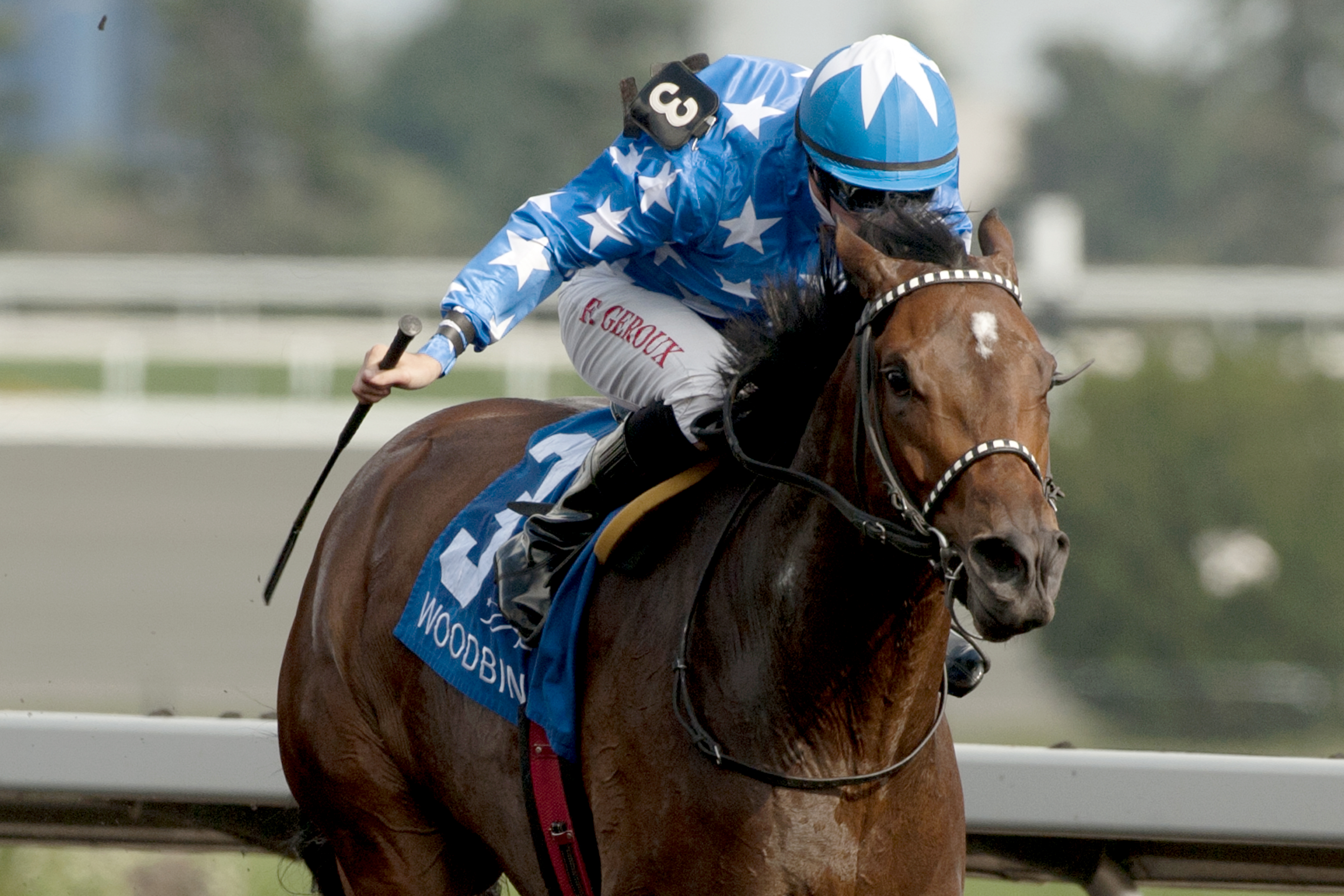 Pirate's Trove wins the Etobicoke