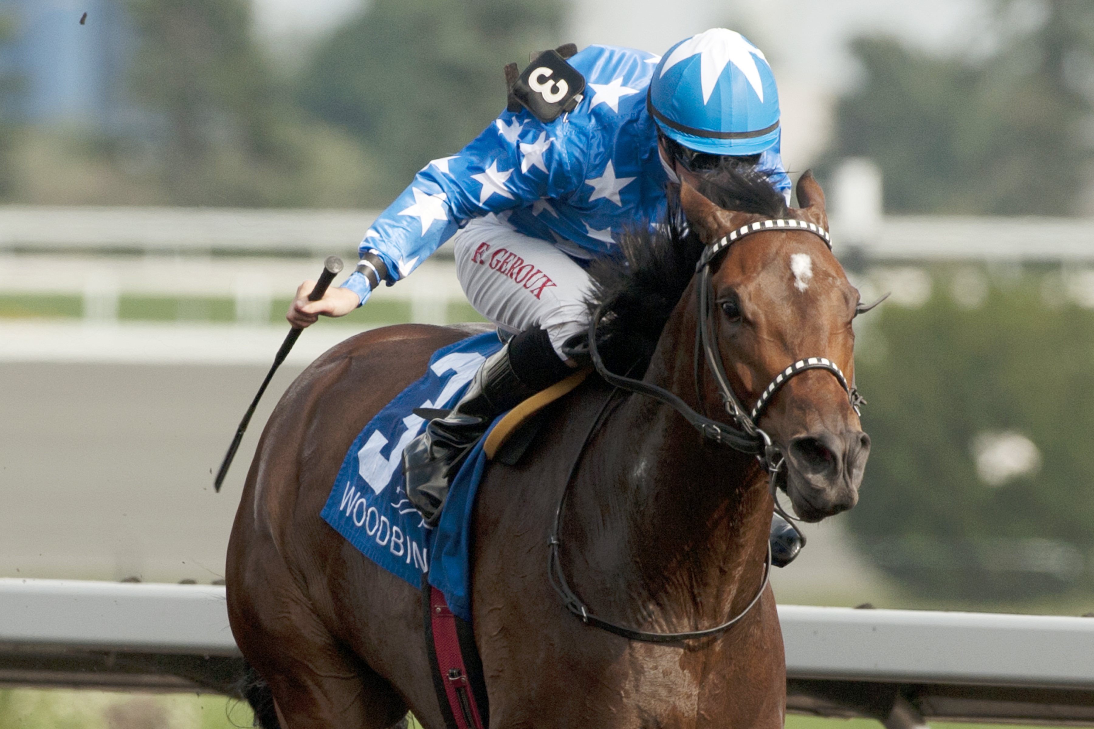Pirate's Trove wins the Etobicoke