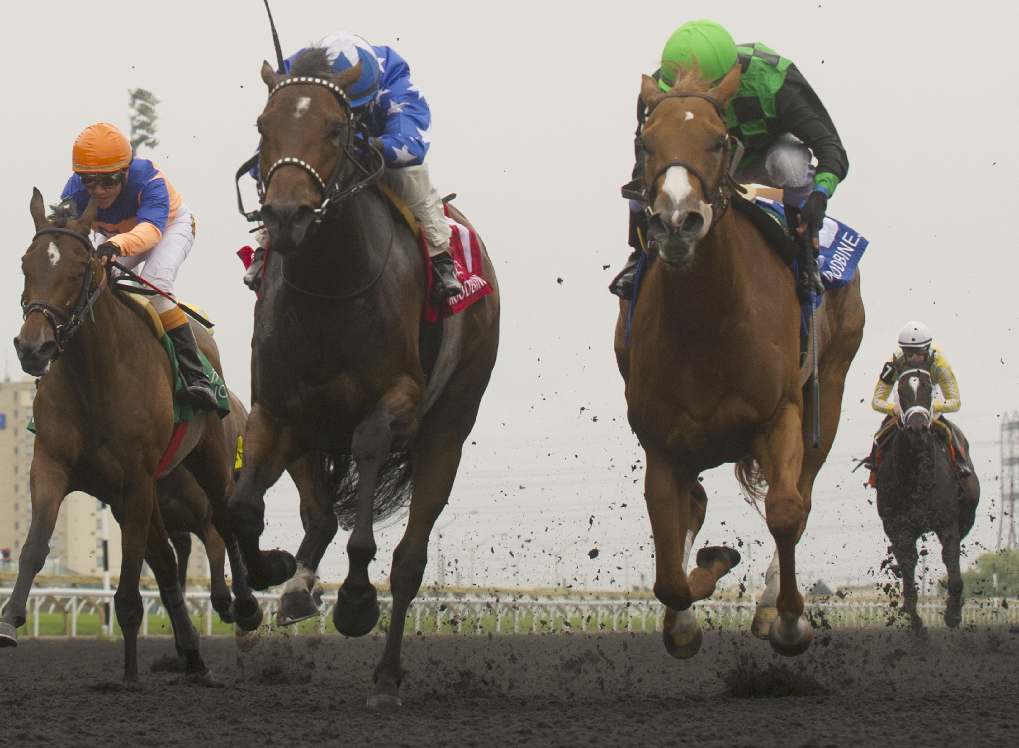 Cactus Kris loses the Duchess Stakes to Pirate's Trove
