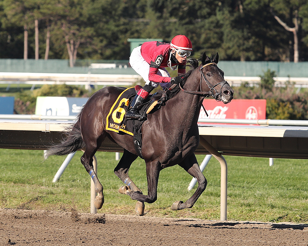 Pirate's Punch wins the 2020 Salvator Mile at Monmouth Park