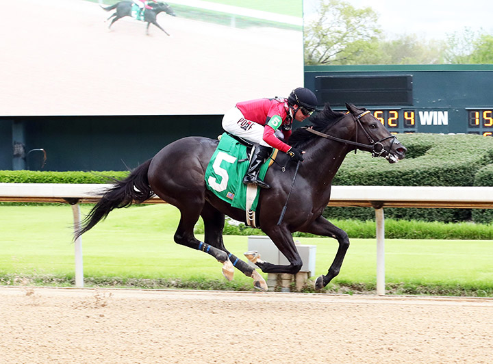 Pirate's Punch wins an April 3 allowance at Oaklawn Park