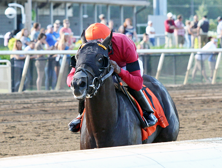 Pirate's Punch wins an Aug. 3 allowance at Indiana Grand