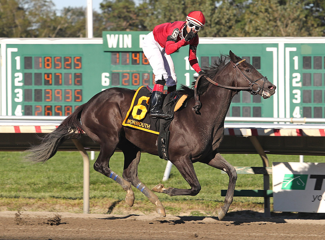 Pirate's Punch wins the 2020 Salvator Mile at Monmouth Park