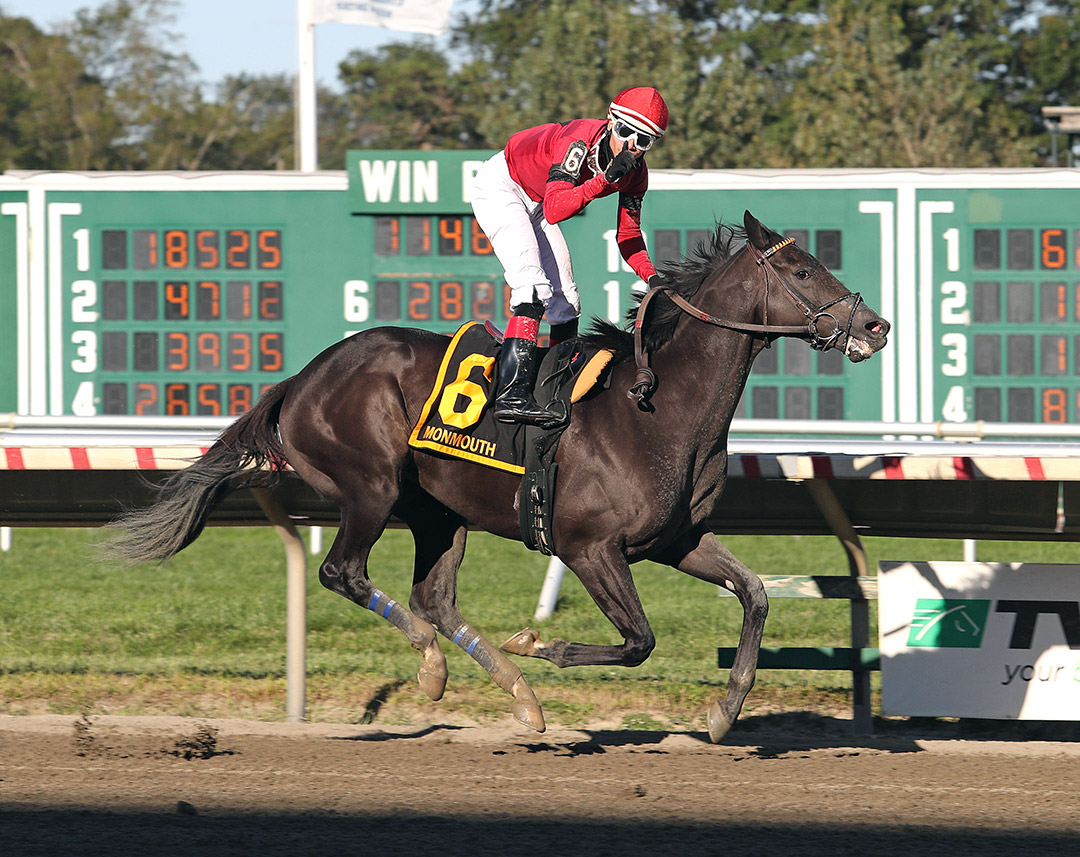 Pirate's Punch wins the 2020 Salvator Mile at Monmouth Park