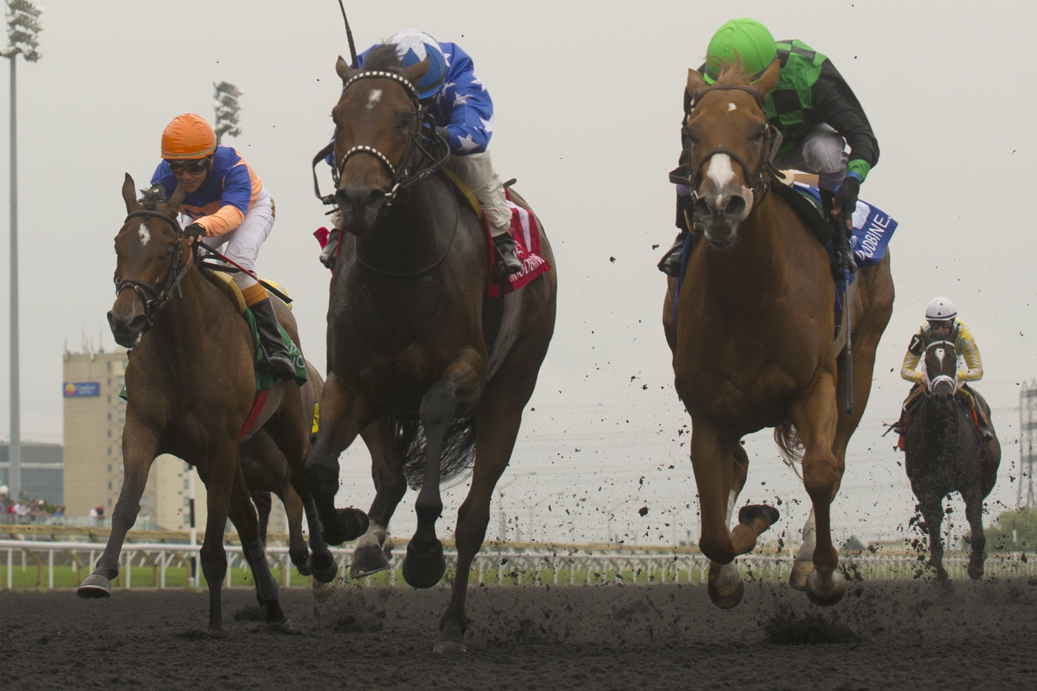Pirate's Trove wins 2014 Duchess