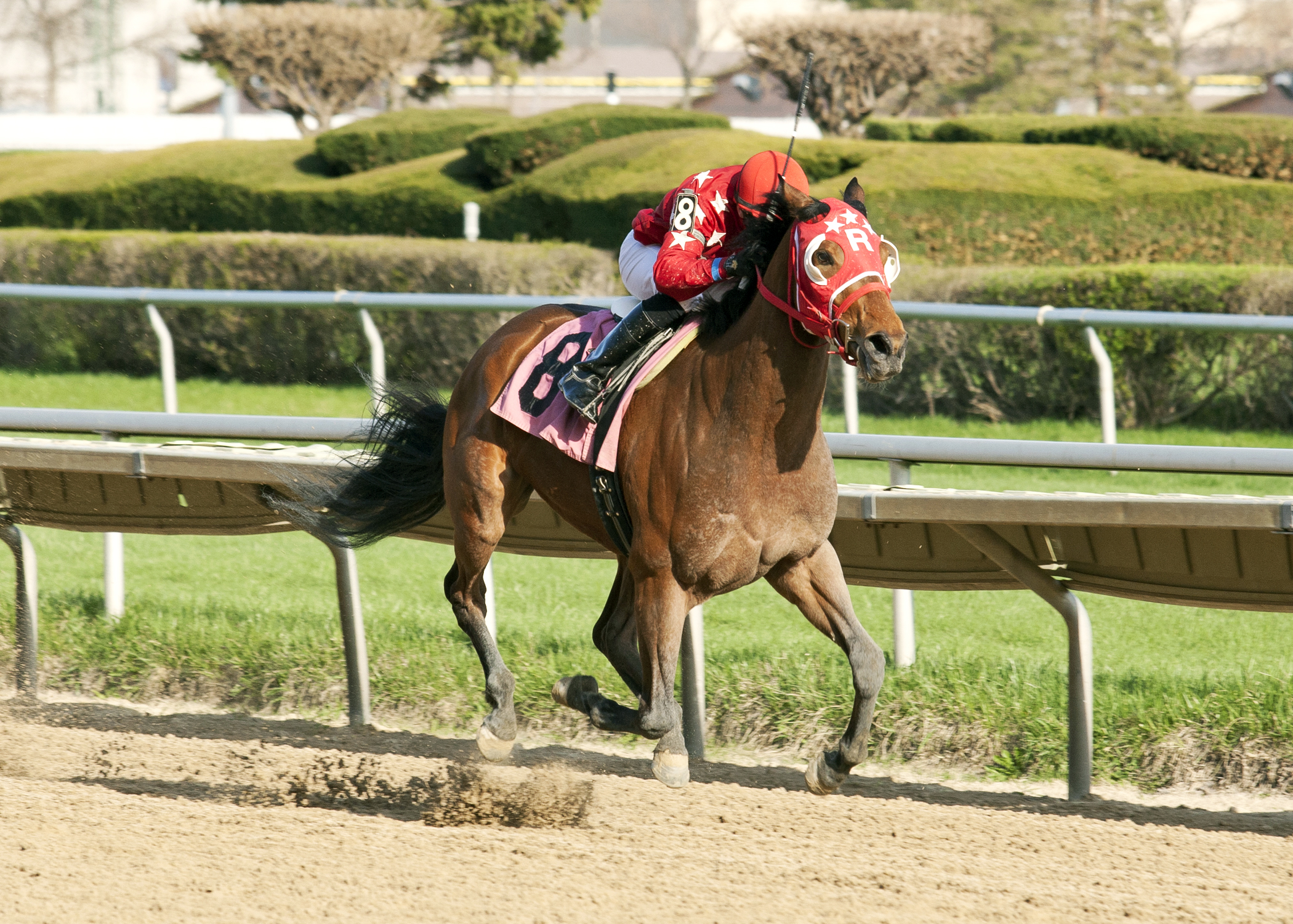 Pistols Drawn wins the Pretty Jenny