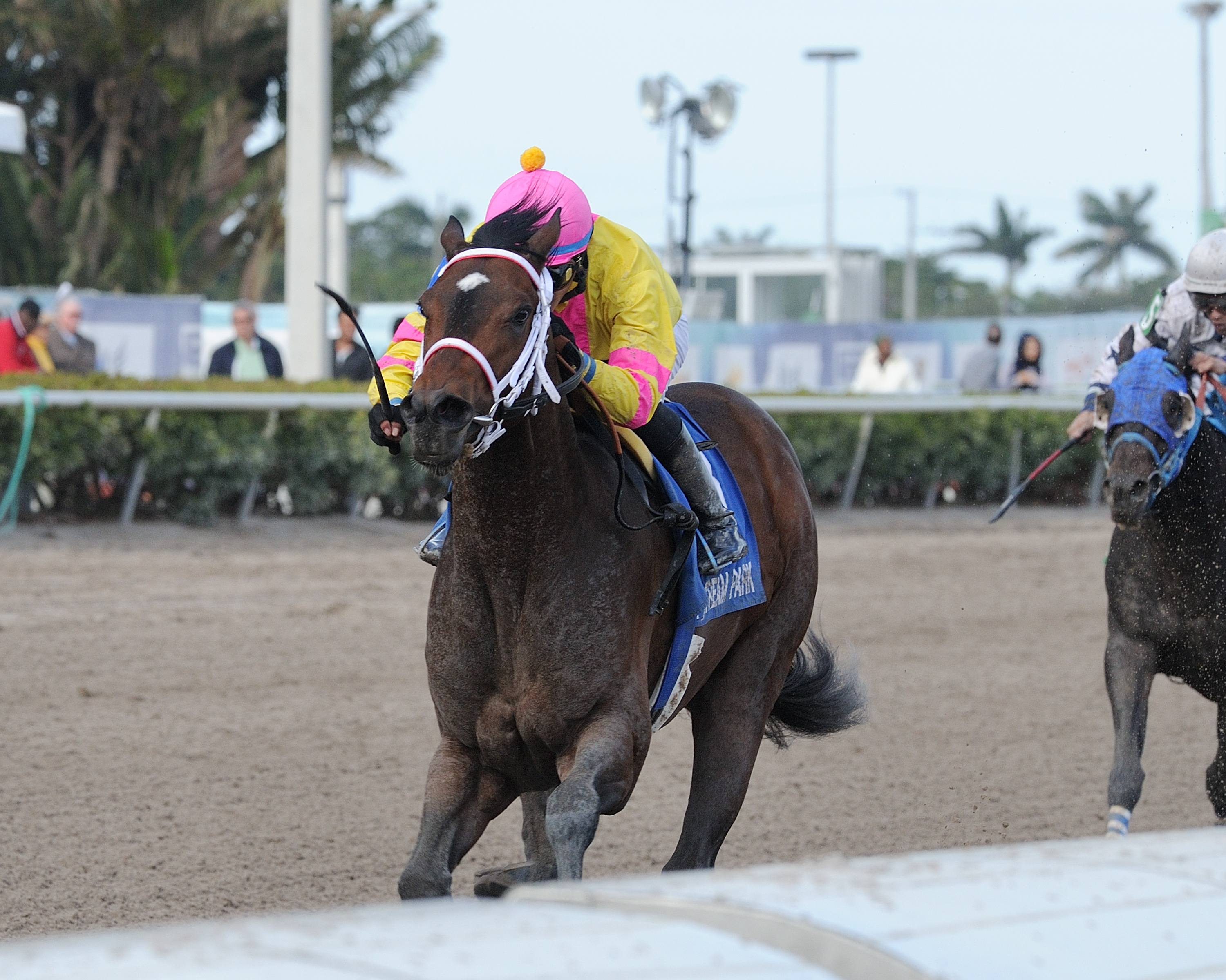 Piven wins the 2018 Limehouse Stakes