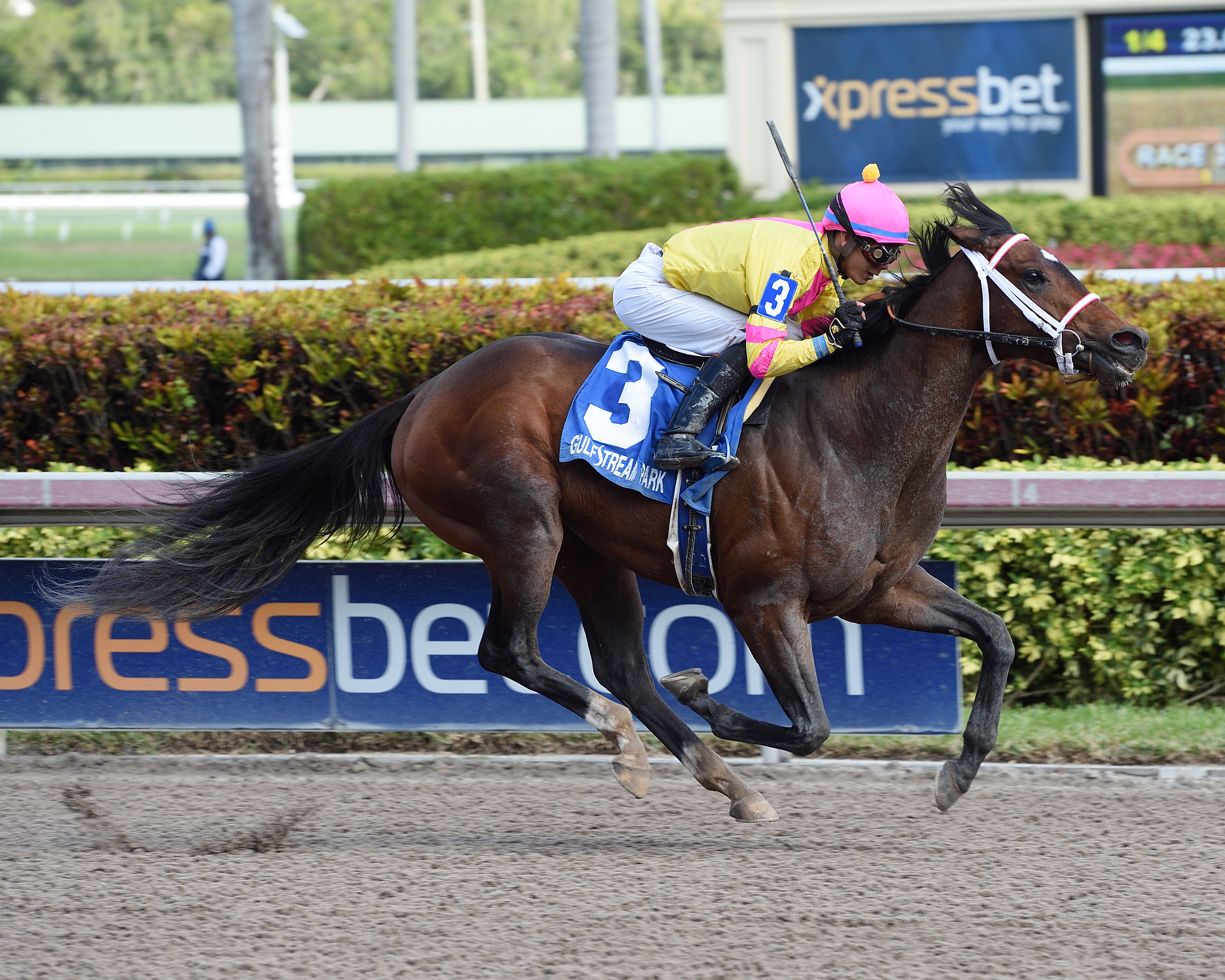 Piven wins the 2018 Limehouse Stakes