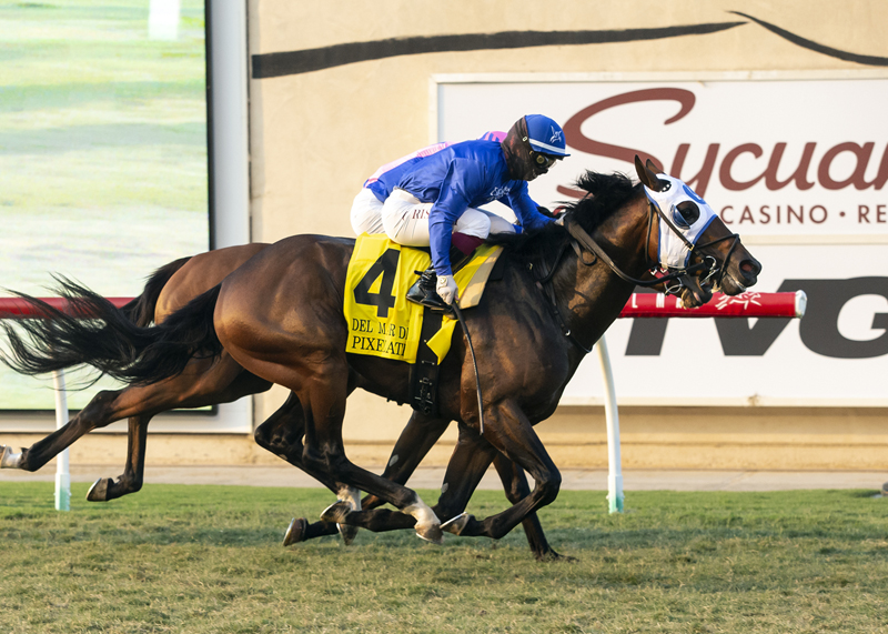 Pixelate/Del Mar Derby