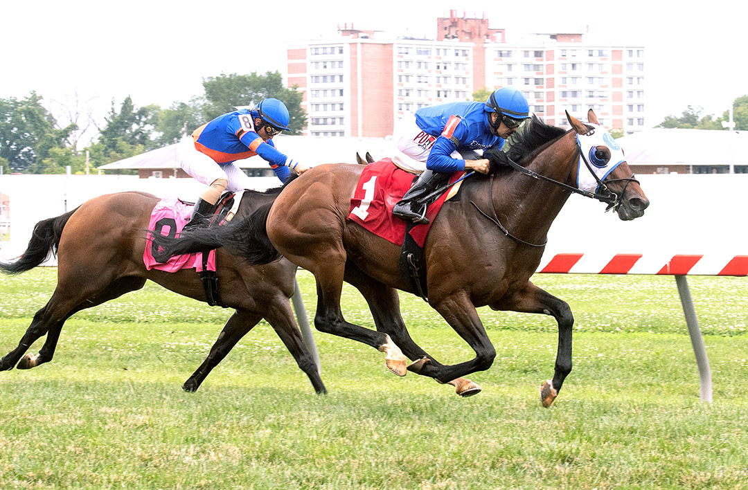 Pixelate wins the 2021 Prince George's County Stakes at Pimlico Race Course