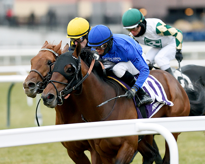 Pixelate wins the 2019 Central Park Stakes at Aqueduct