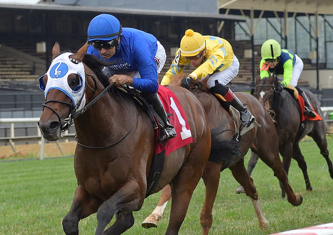 Pixelate wins the 2021 Prince George's County Stakes at Pimlico Race Course