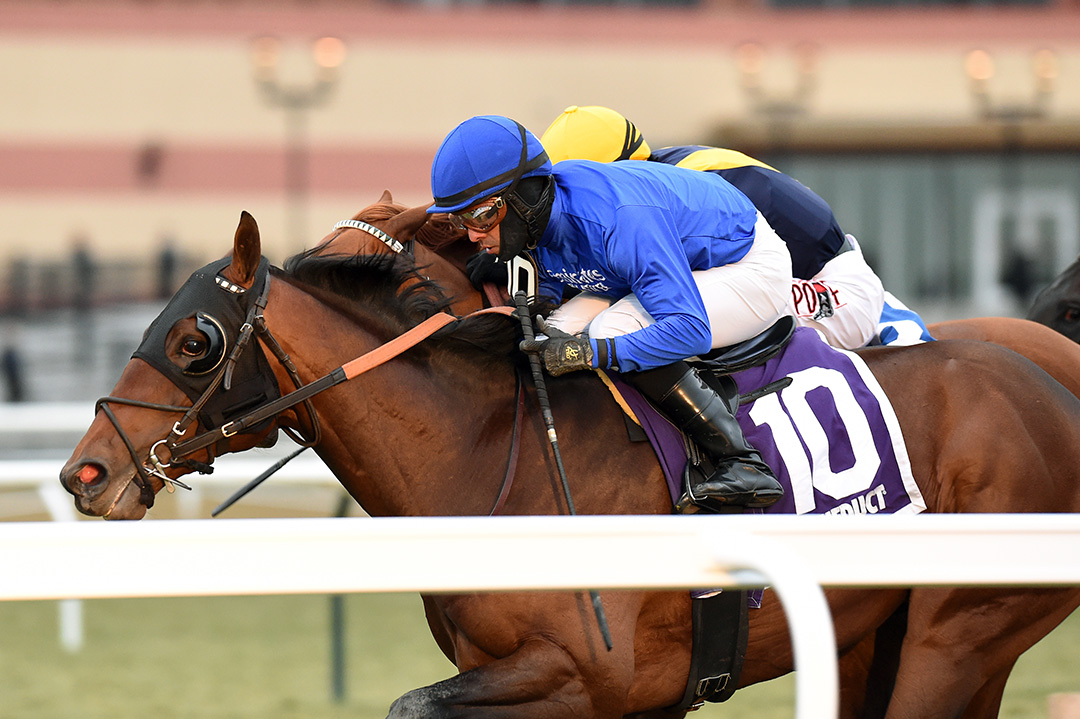 Pixelate wins the 2019 Central Park Stakes at Aqueduct Racetrack