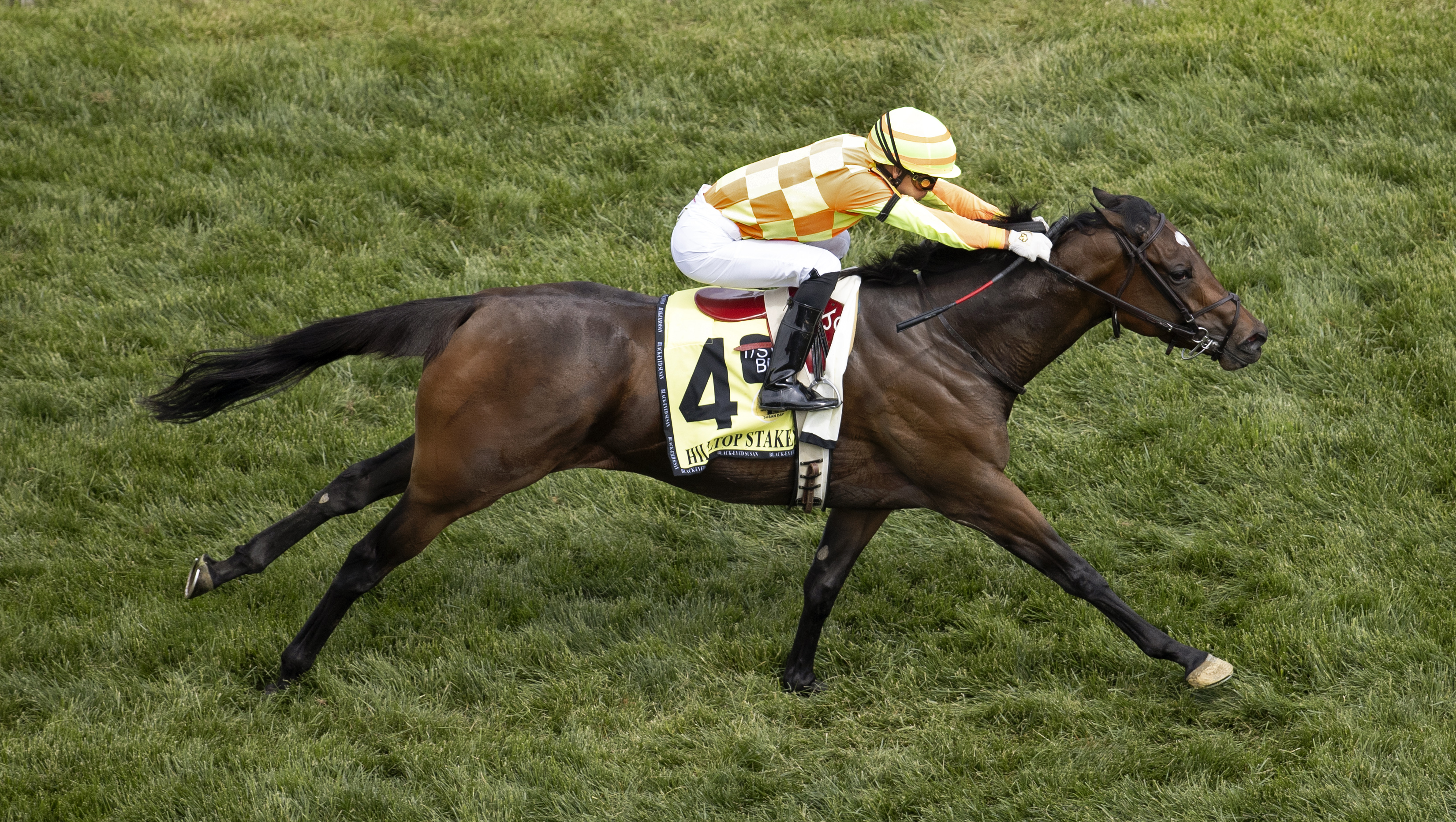 Pizza Bianca wins the Hilltop Stakes.May 20 2022