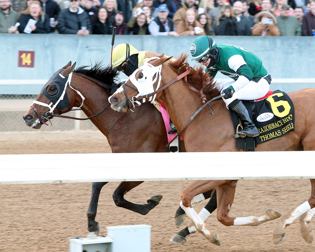 Thomas Shelby (No. 6) finishes second in the 2022 Razorback Handicap at Oaklawn Park