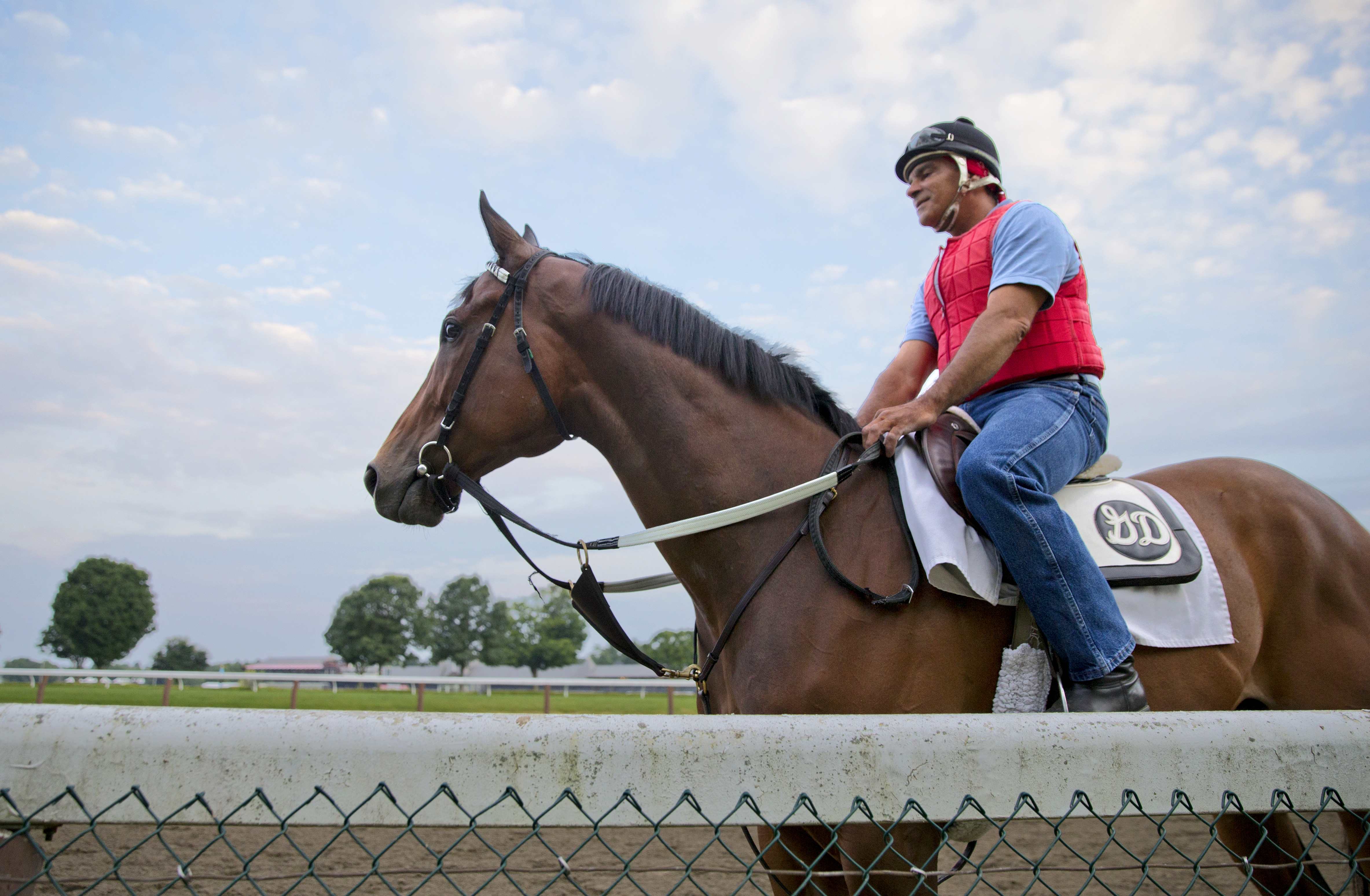 Plainview July 2014