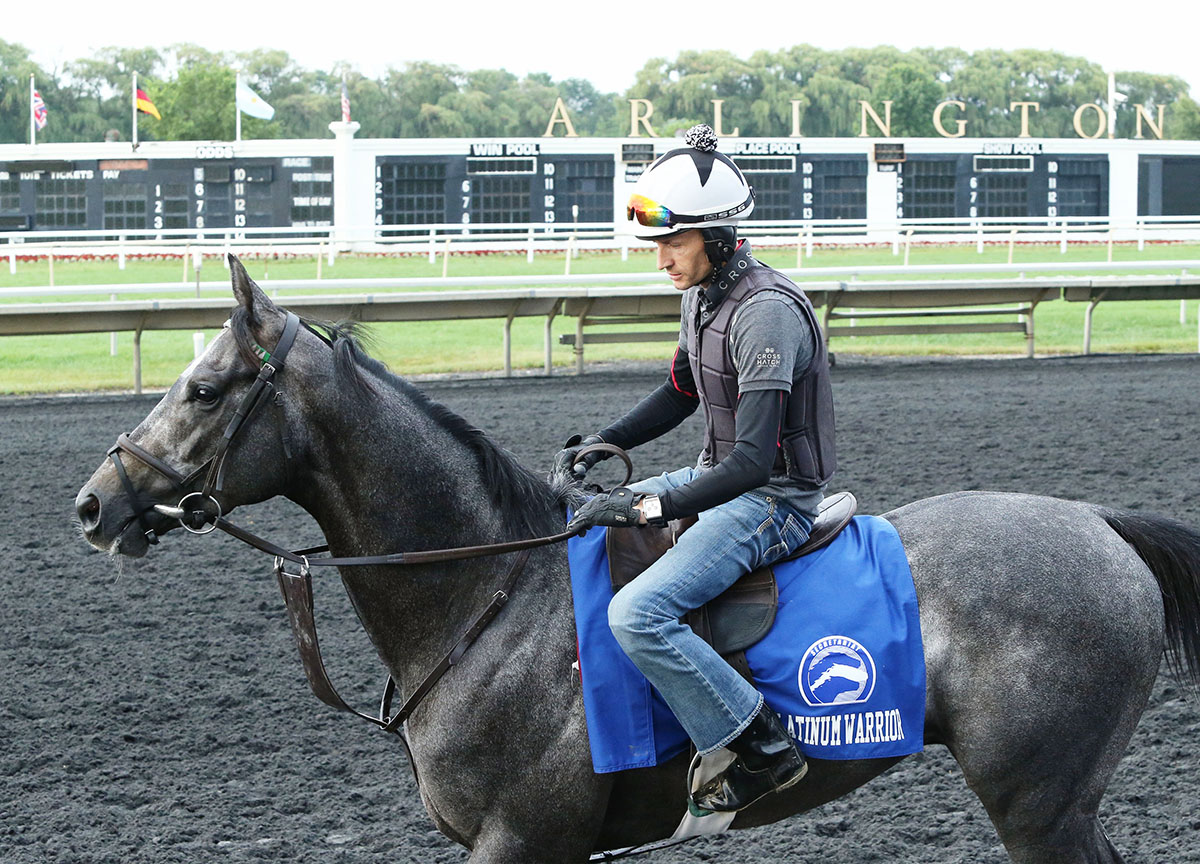 Platinum Warrior at Arlington Park on Aug. 8