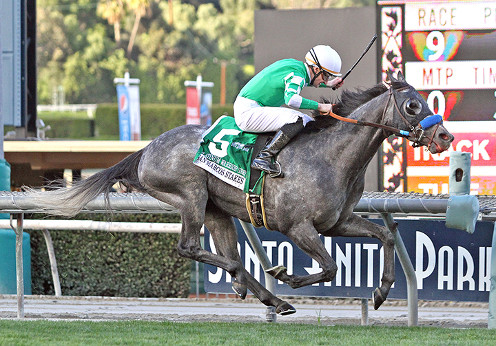 Platinum Warrior wins the 2019 San Marcos Stakes