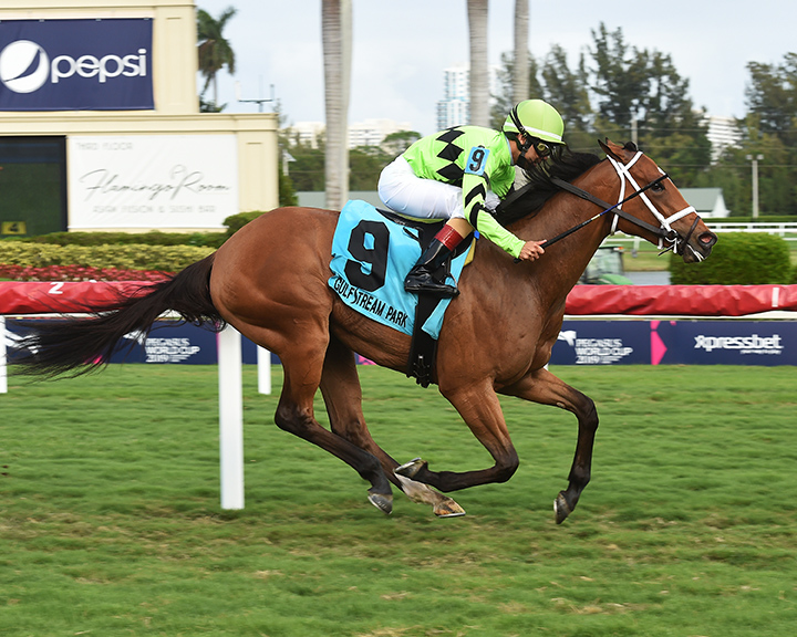 Play On wins the 2019 Melody of Colors Stakes