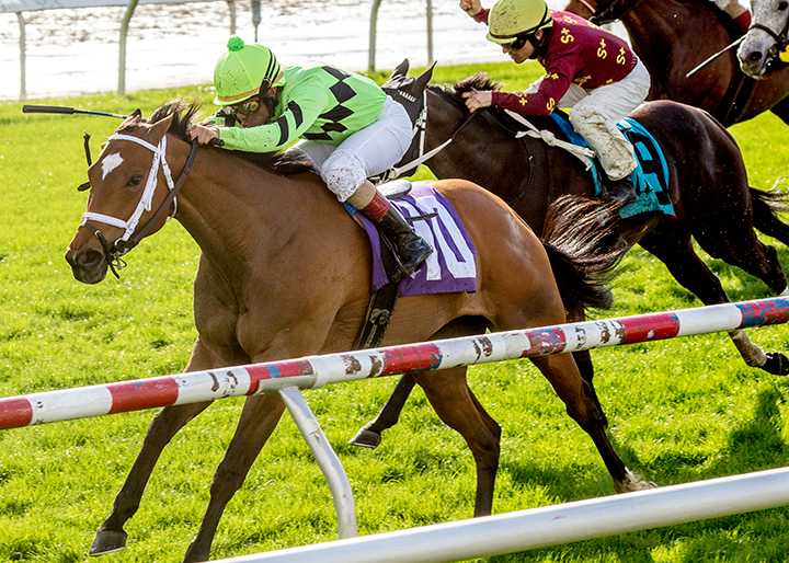 Play On wins the 2019 Pan Zareta Stakes at Fair Grounds
