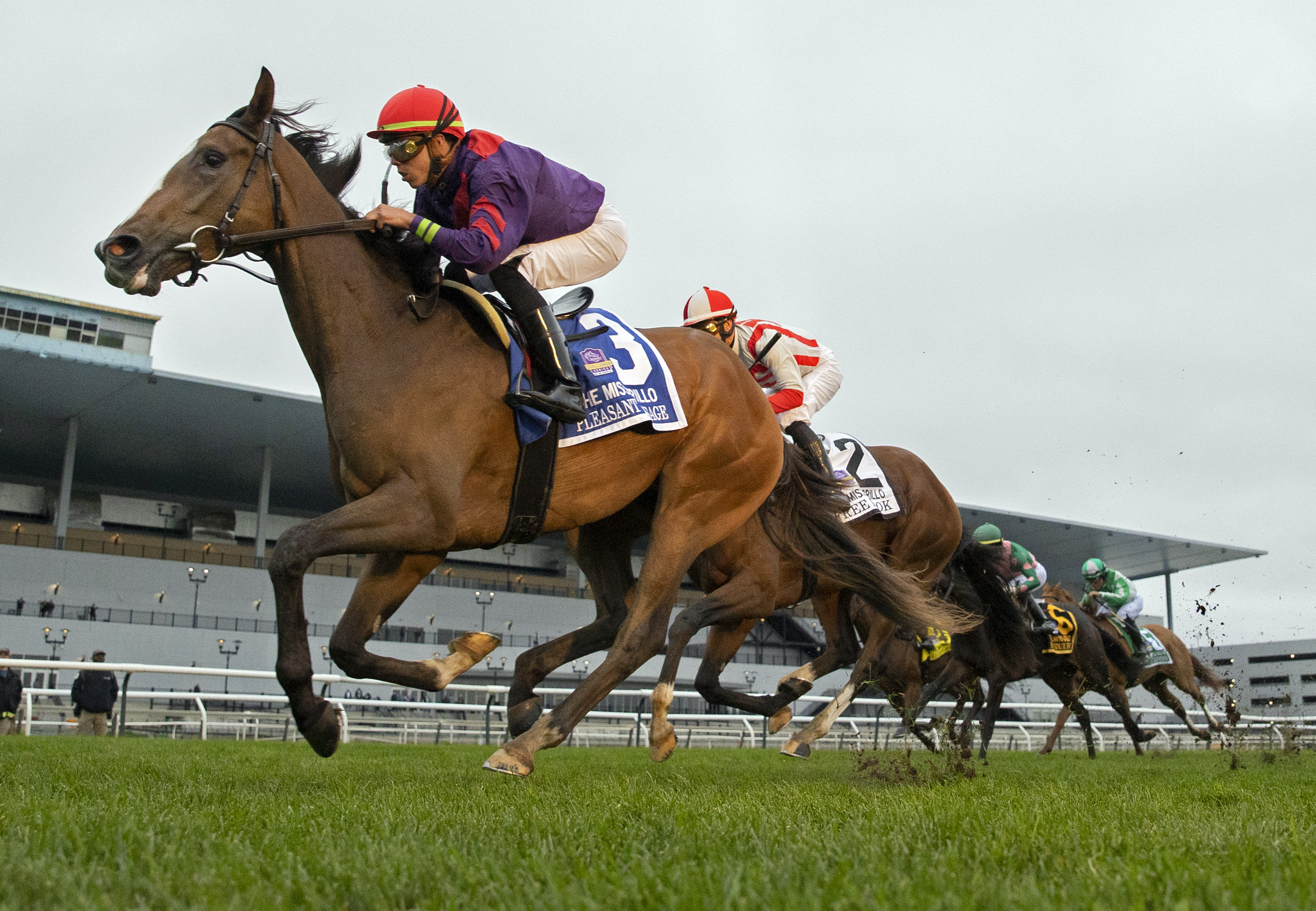 Pleasant Passage wins Miss Grillo 10-2-2022