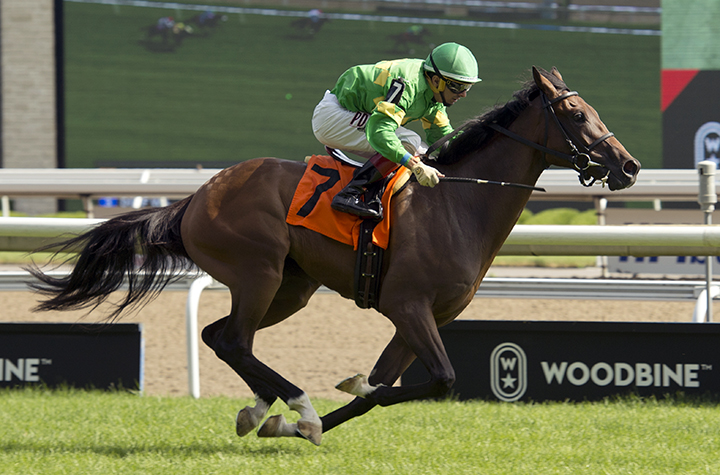 Pleasecallmeback wins a July 21 maiden race at Woodbine
