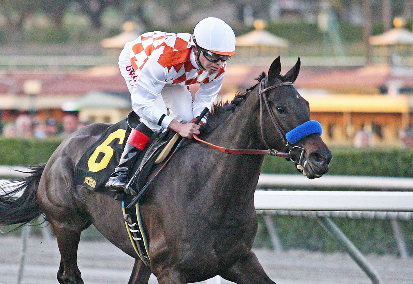 Plein Air wins the Astra Stakes