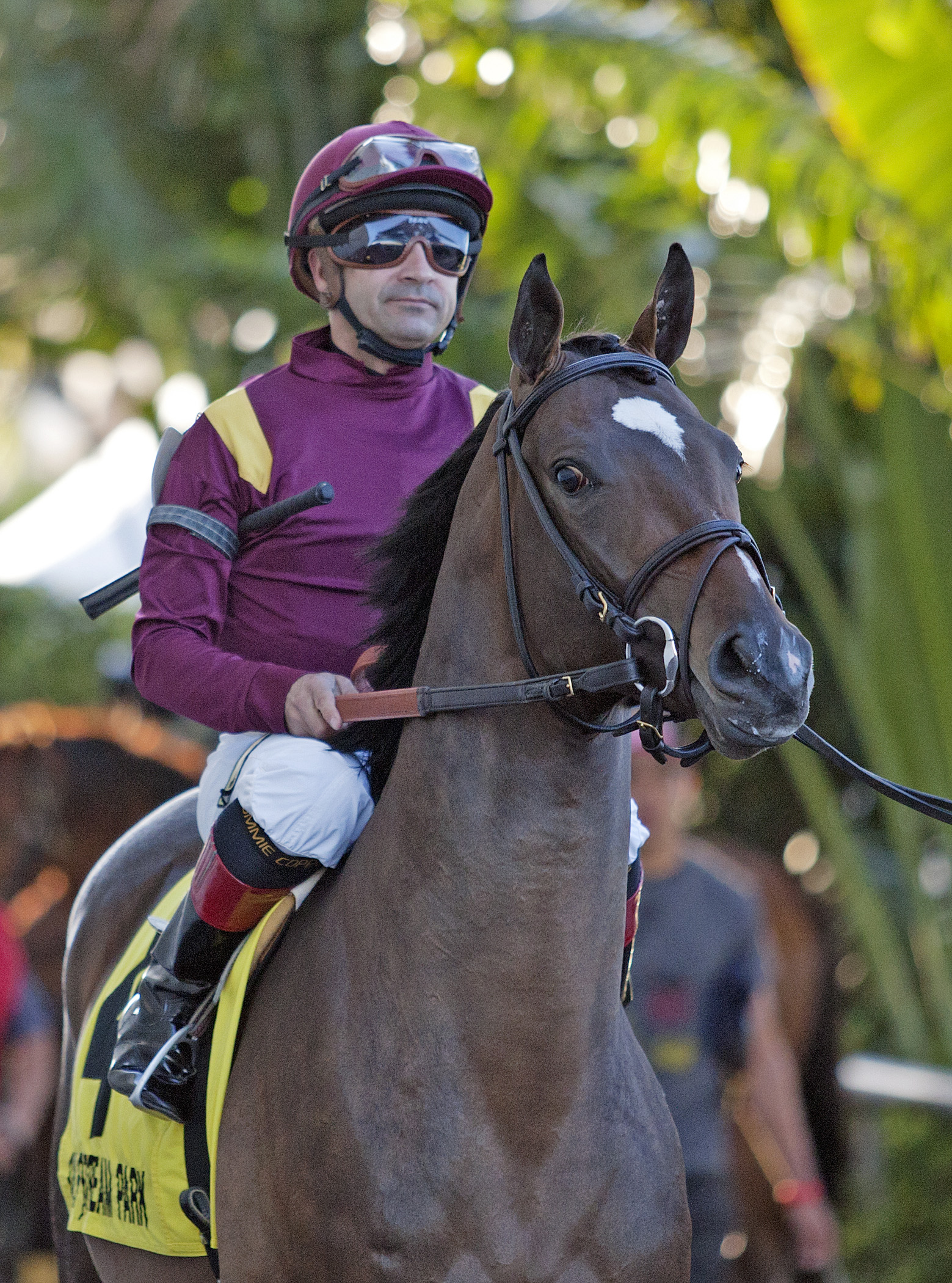 Pleuven at the Palm Beach Stakes