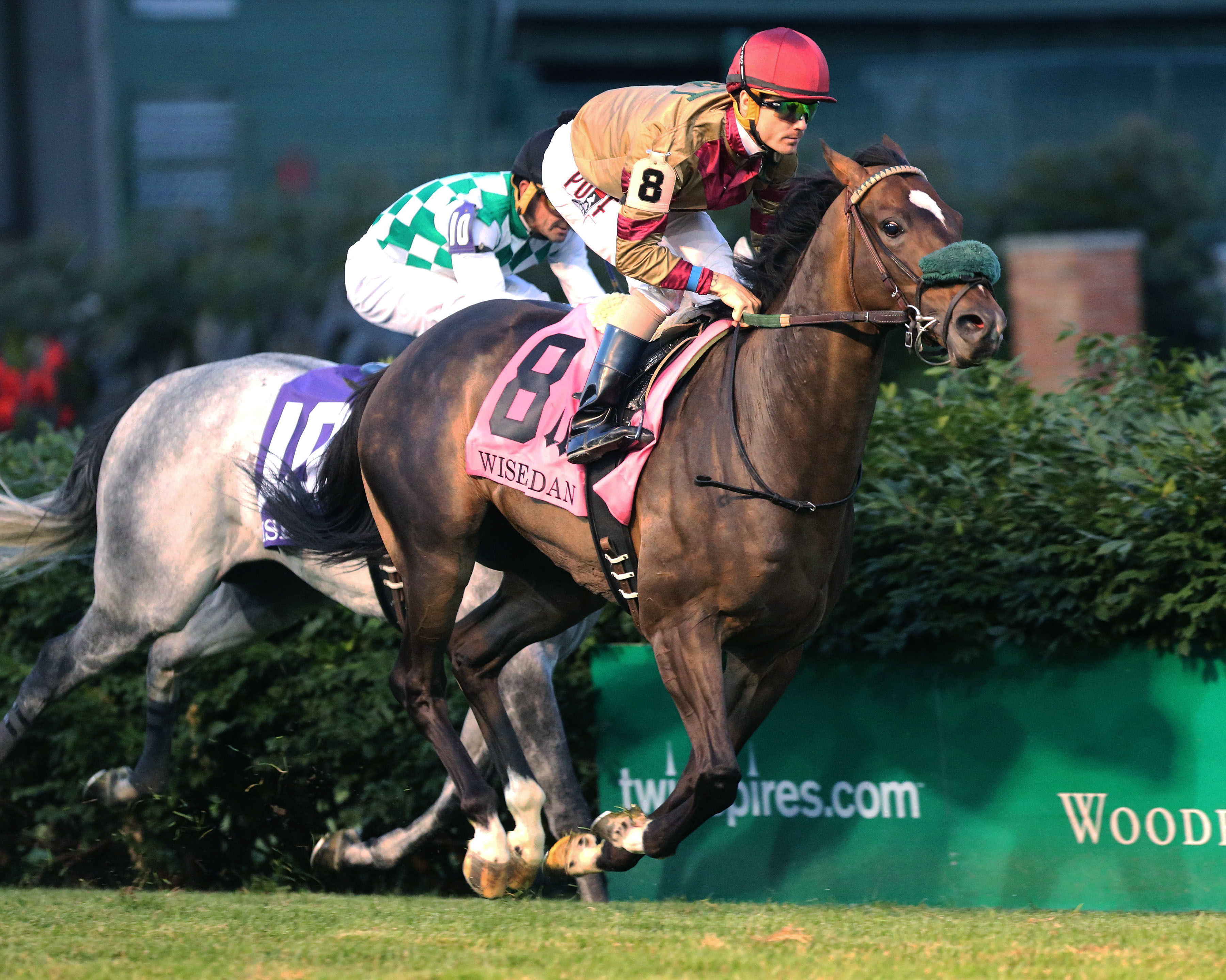 Pleuven wins the 2016 Wise Dan Stakes