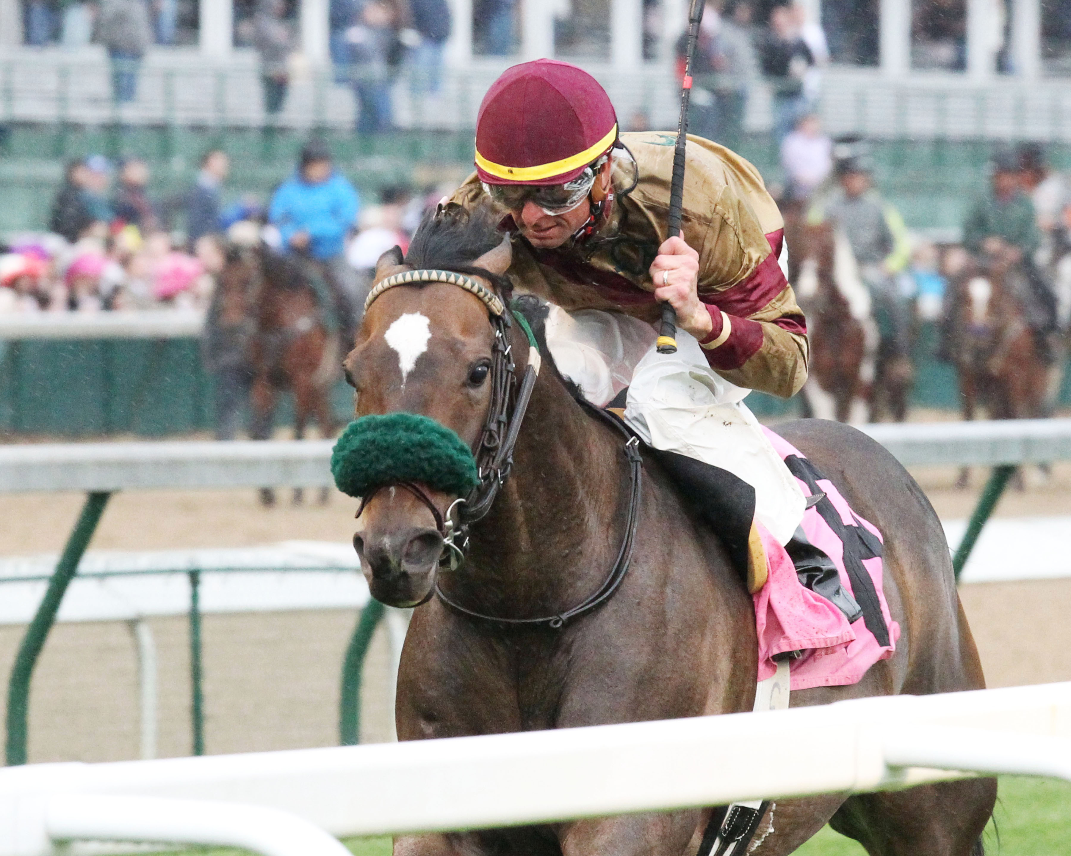 Pleuven wins the Opening Verse Stakes