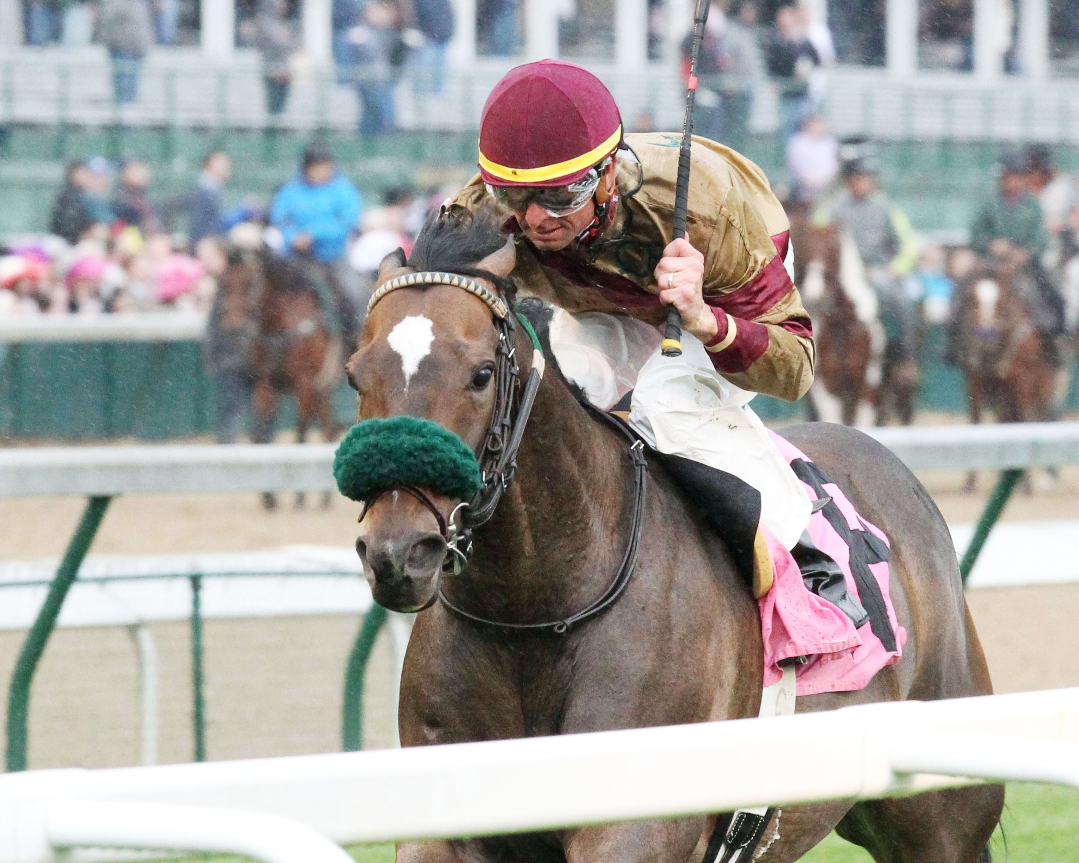 Pleuven wins the 2017 Opening Verse Stakes