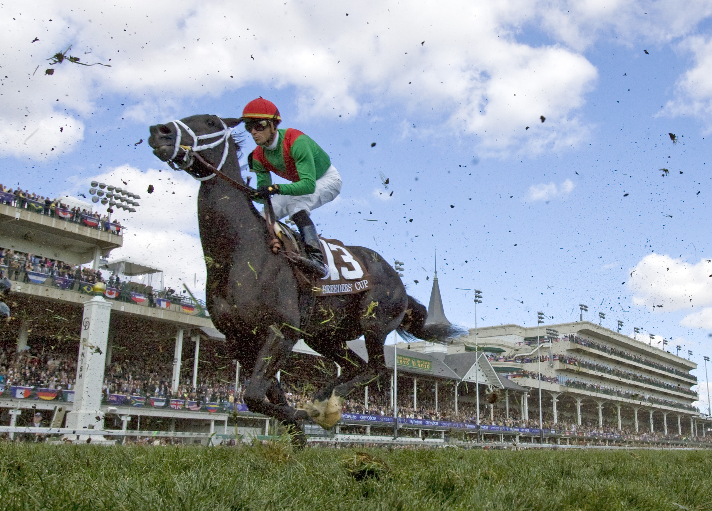 Pluck/BC Juvenile Turf