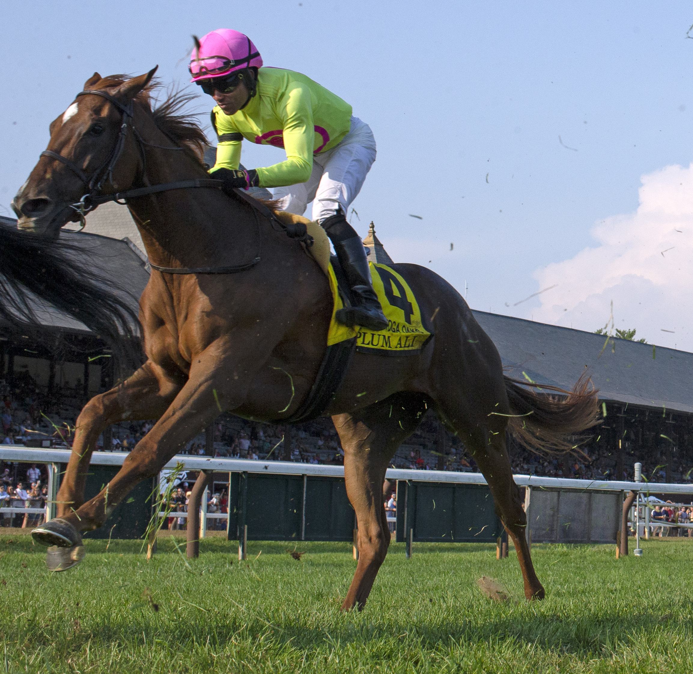 Plum Ali finishes fourth in the Saratoga Oaks.8-8-2021