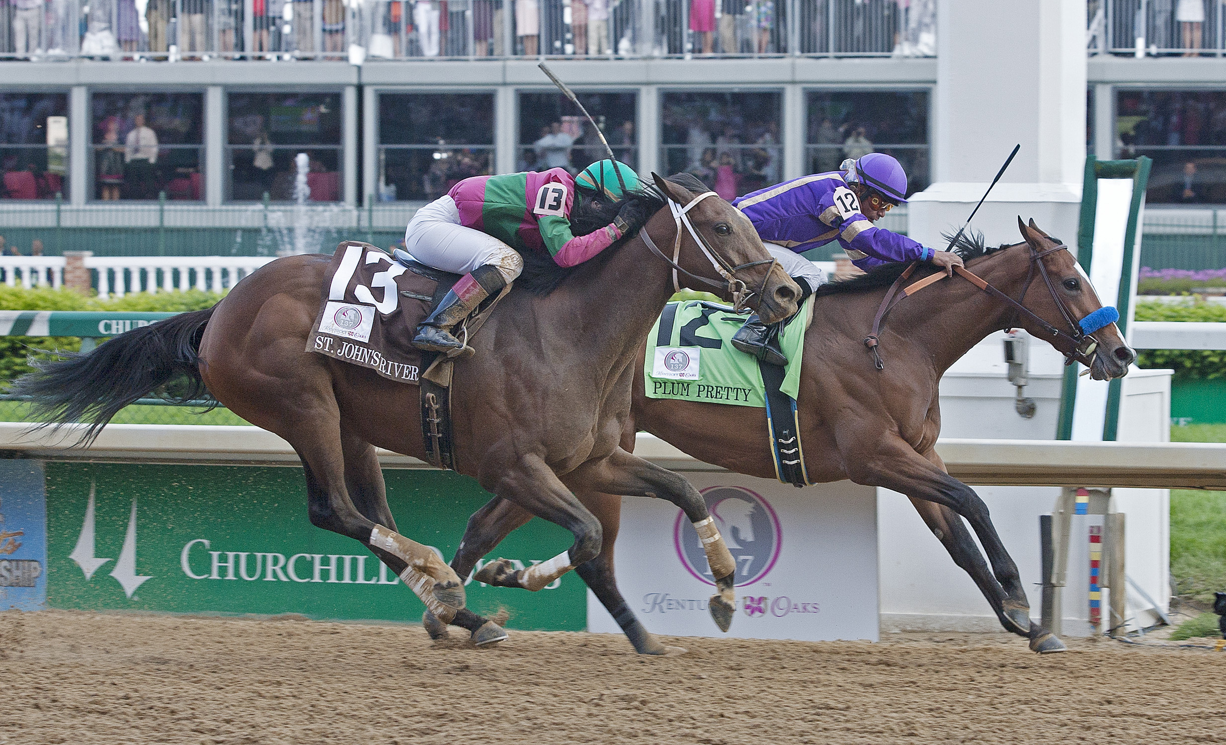St. John's River/Kentucky Oaks (second)