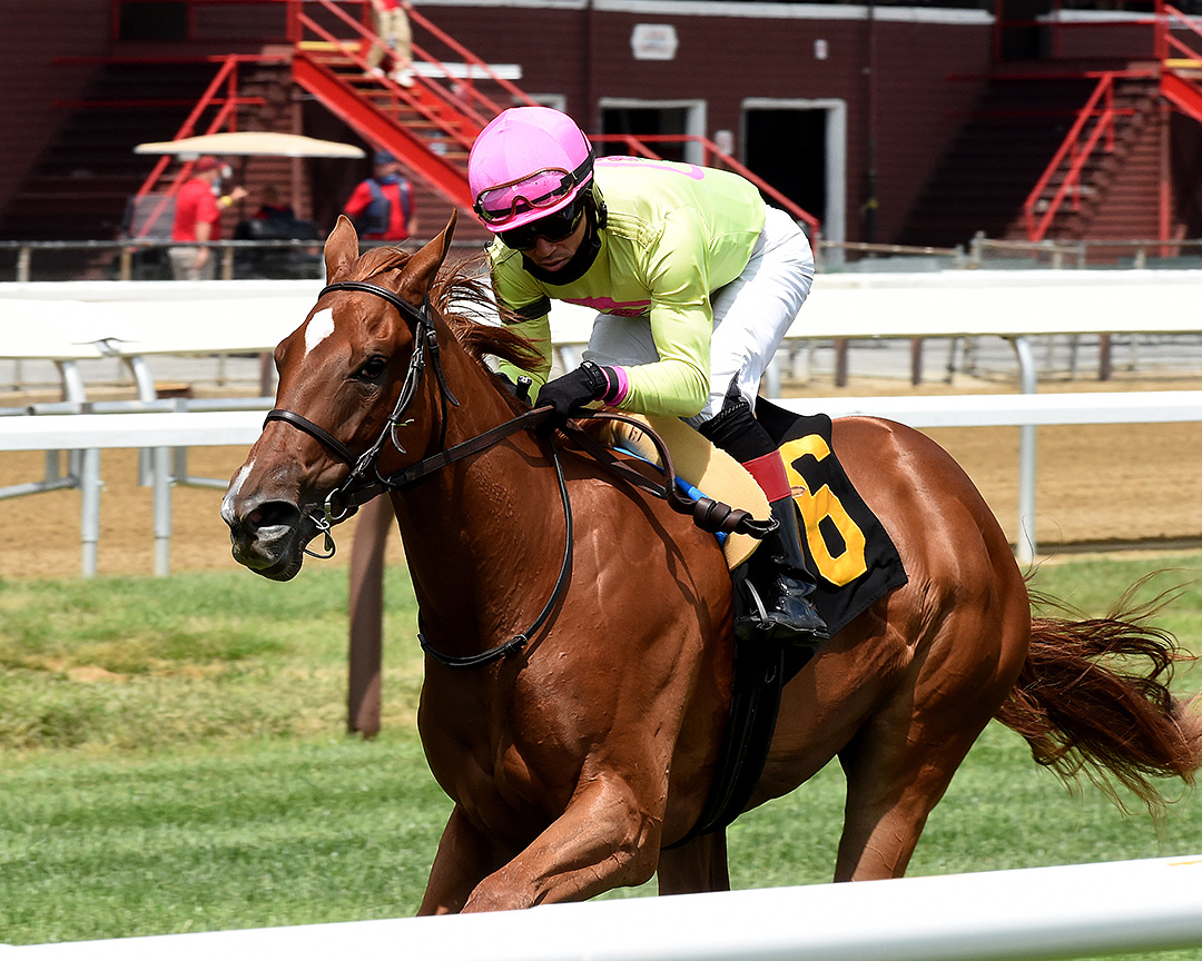 Plum Ali wins a July 23 maiden race at Saratoga Race Course