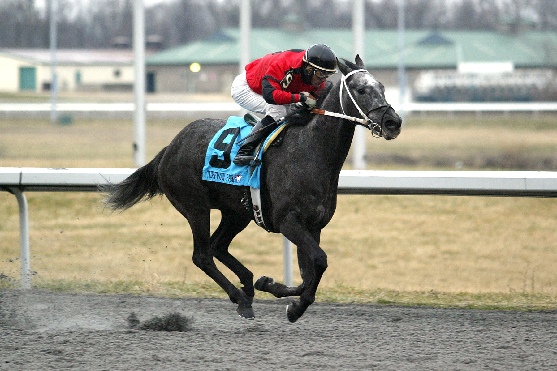 Plutonium 2-18-2012