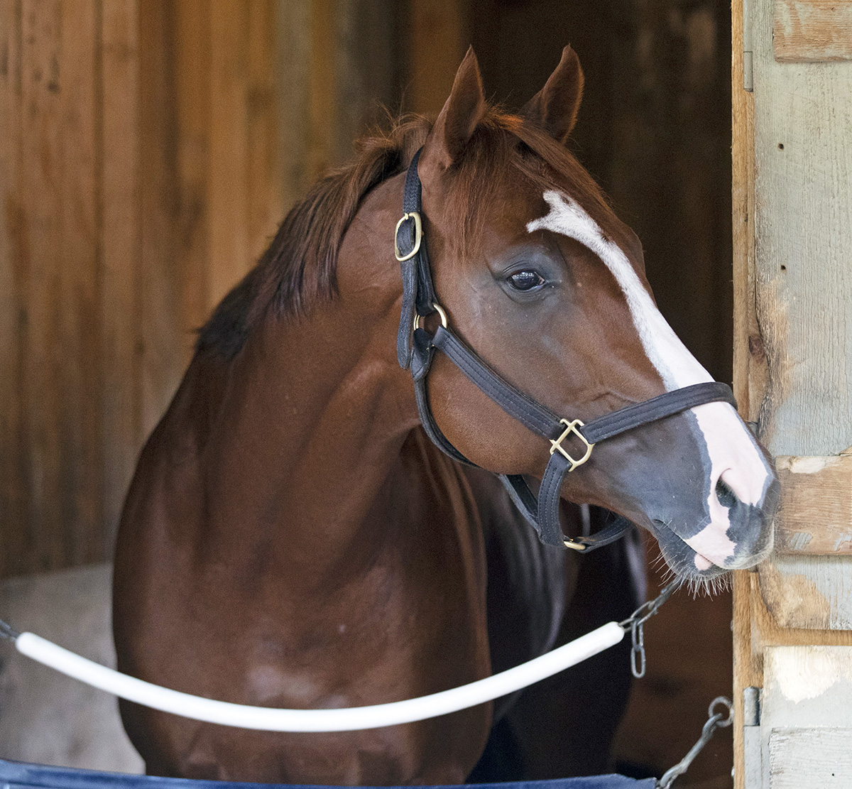 Pocket Change at Saratoga on Aug. 29