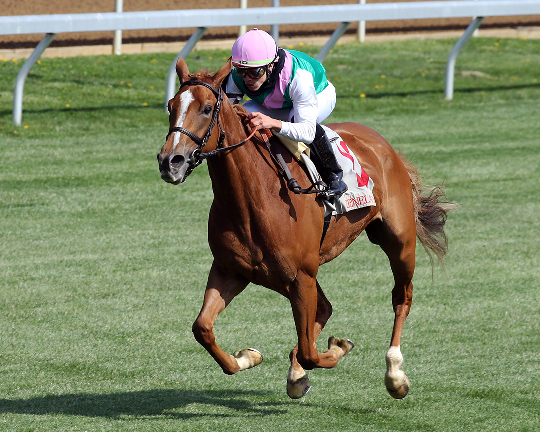Pocket Square wins an April 7 allowance race at Keeneland Race Course