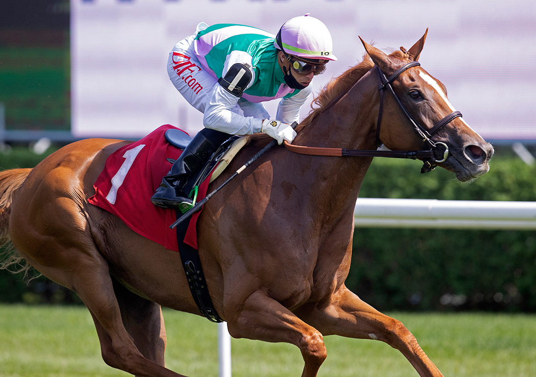Pocket Square wins an August 25 allowance race at Saratoga Race Course
